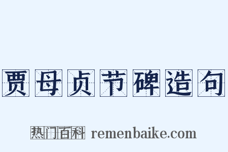 贾母贞节碑造句是什么意思的图片